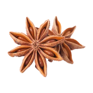 Star Anise – Aromatic & Healing Spice